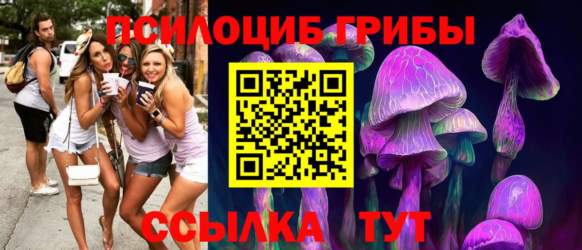 Галлюциногенные грибы Magic Shrooms Великий Новгород