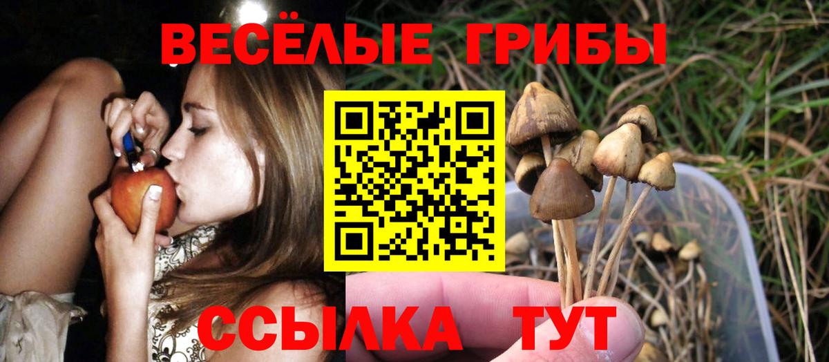 Галлюциногенные грибы Magic Shrooms  Вход с VPN  Великий Новгород 